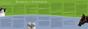 A Career in Veterinary Medicine - Brochure