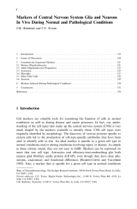 Markers of Central Nervous System Glia and Neurons In Vivo During