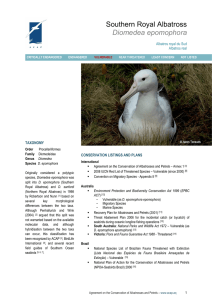 Southern Royal Albatross EN1.2 - Agreement on the Conservation