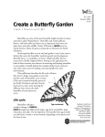 Create a Butterfly Garden - Oregon State University Extension