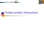 Protein-protein Interactions