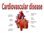 Cardiovascular disease What is a cardiovascular disease?