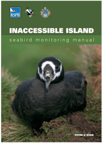 Inaccessible Island seabird Mon