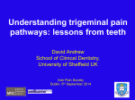Understanding trigeminal pain pathways: lessons from teeth