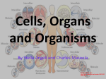 Cells, Organs and Organisms