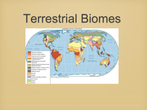 APES Terrestrial Biomes PPT