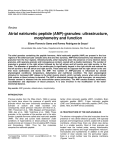 Atrial natriuretic peptide (ANP)