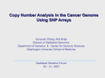 DNA Copy Number Analysis (SGF talk 2007-02-12)