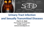 Urinary Tract Infection and STDs Pharamacology Prof. R. K. Dixit