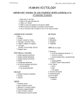 1        19 HO-01LAB-059.wpd HUMAN HISTOLOGY IMPORTANT