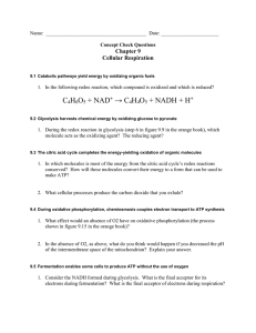 Name: Date: Concept Check Questions Chapter 9 Cellular