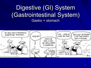 Digestive System