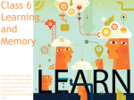 CA2018 C6 Consumer learning and memory