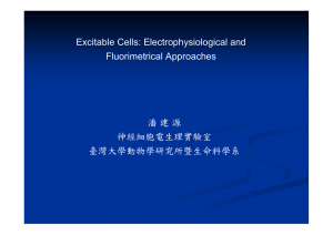 Excitable Cells: Electrophysiological and