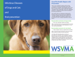 Infectious Diseases of Dogs and Cats and their prevention