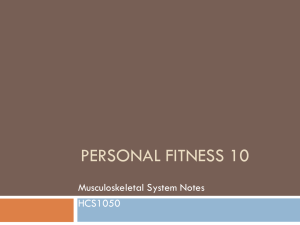 Musculoskeletal Notes