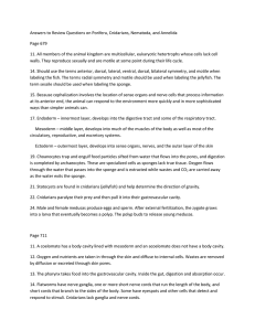 Answers to Review Questions on Porifera, Cnidarians, Nematoda