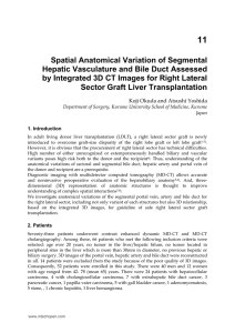 Spatial Anatomical Variation of Segmental Hepatic Vasculature and