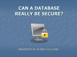 Database Security