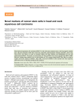 Novel markers of cancer stem cells in head and neck squamous cell