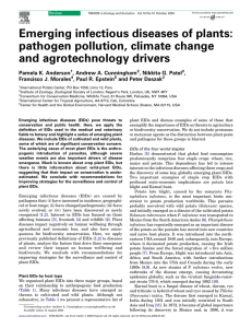 Emerging infectious diseases of plants: pathogen pollution, climate