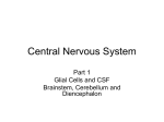 Central Nervous Systempart1