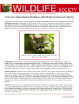 Felis catus: Reproduction, Predation, and Lifestyle of an Invasive