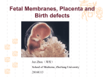 3.Placenta-fetal membrane birth defects(20160113 Jun Zhou)