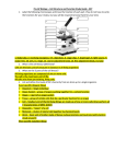 10-4-16 Cells Study Guide - KEY