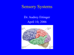 Sensory Systems - Cedar Crest College