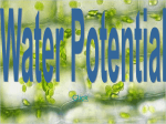 Water Potential - DavisonScience