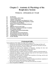 b) Anatomy and Physiology of the Respiratory System