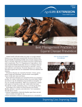 Best Management Practices for Equine Disease Prevention