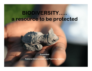 BIODIVERSITY….. a resource to be protected