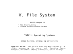V. Filesystems and Mass Storage
