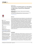 Stimulation of Cell Elongation by Tetraploidy in Hypocotyls of Dark