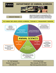 animal sciences - Purdue Agriculture