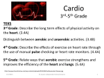 PE_K5_35tccardio_att_Cardio_1617