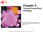 Chapter 5:Histology - Palm Beach State College