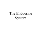 The Endocrine System - Valhalla High School
