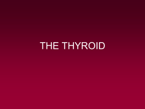 thyroid iodine - UMF IASI 2015