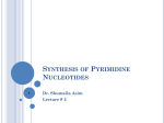5-Metabolism of Pyrimidine Nucleotides