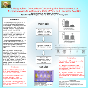 Toxoplasma gondii - York College of Pennsylvania