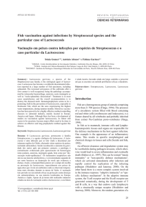 Fish vaccination against infections by Streptococcal species and the