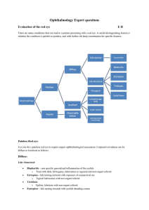 Ophthalmology Expert questions Evaluation of the red eye E H