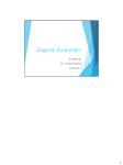 Lecture 3- Organic Evolution