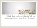 Four Options to Explain Addiction - Florida Alcohol and Drug Abuse