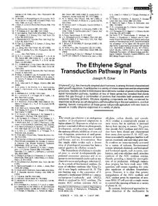 The Ethylene Signal Transduction Pathway in Plants