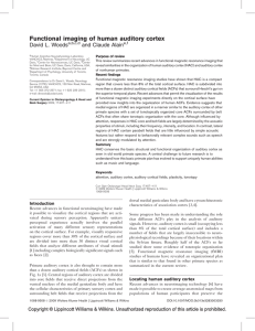 Functional imaging of human auditory cortex