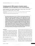 Complete genomic RNA sequence of western equine encephalitis